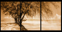whistling pines sepia triptych vert