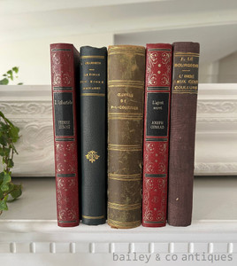 Five Antique or Vintage French Decorative Books - Leather & Cloth Bound - Vintage Library Collection - Pierre Benoit - Joseph Conrad - FB12