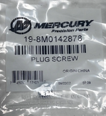 Mercury / Mariner plug screw