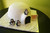 Fondant covered cake. Handcrafted fondant penguins, daddy, mommy, baby, so cute!
Servings: 40