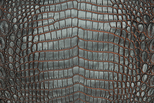 nile crocodile skin