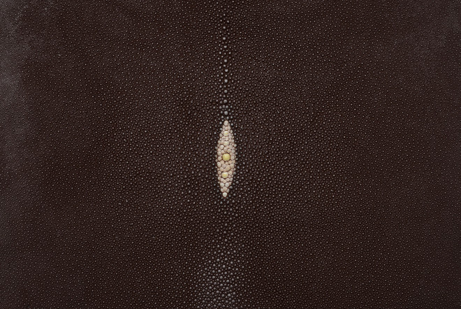 Stingray Leather | Caviar Unpolished | authentic Dark Brown | X Large