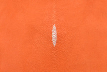 Stingray Skin Standard Orange 15"
