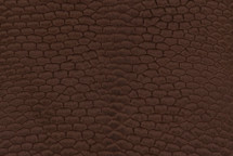 Beaver Tail Matte Brown