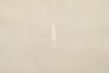Stingray Skin Standard White 11"