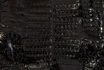 Caiman Skin Belly Glazed Black - XS
