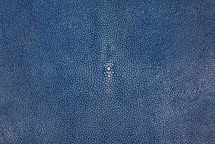 Stingray Skin Polished Blue 15"