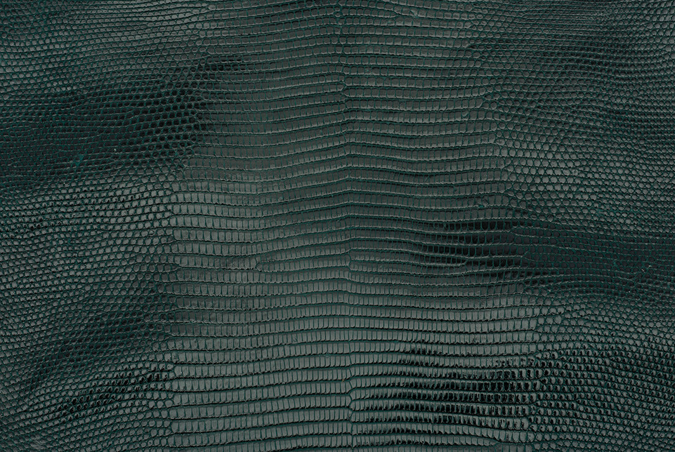 Lizard Skin Leather 2024 | Emerald | Glazed Finish | Front Cut