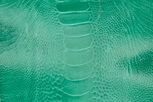 Ostrich Leg Glazed Emerald