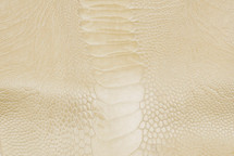 Ostrich Leg Glazed Ivory