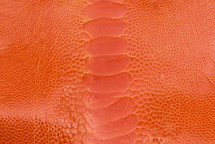 Ostrich Leg Glazed Tangerine