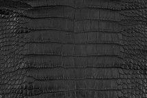 Alligator Skin Belly Matte Black 30/34 cm