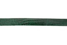 Belt Strip Alligator Glazed Forest 38 mm