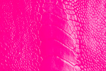 Ostrich Leg Glazed Neon Pink