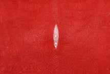 Stingray Skin Standard Red 15"