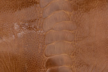 Ostrich Leg Glazed Burnt Amber