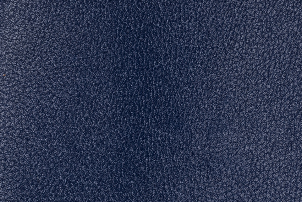 フルプライスライン CAMPUS PACK IN PRINTED PEBBLE LEATHER Pyramid_Blue-2__59647.