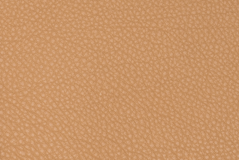 Pyramid_Camel-2__64458.