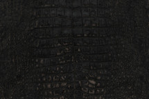Alligator Skin Belly Suede Black 35/39 cm Grade 2