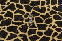 Stingray Skin Print Giraffe Black 11"