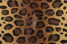Stingray Skin Print Leopard 11"