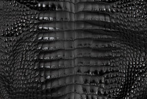 Alligator Skin Belly Glazed Black 30/34 cm