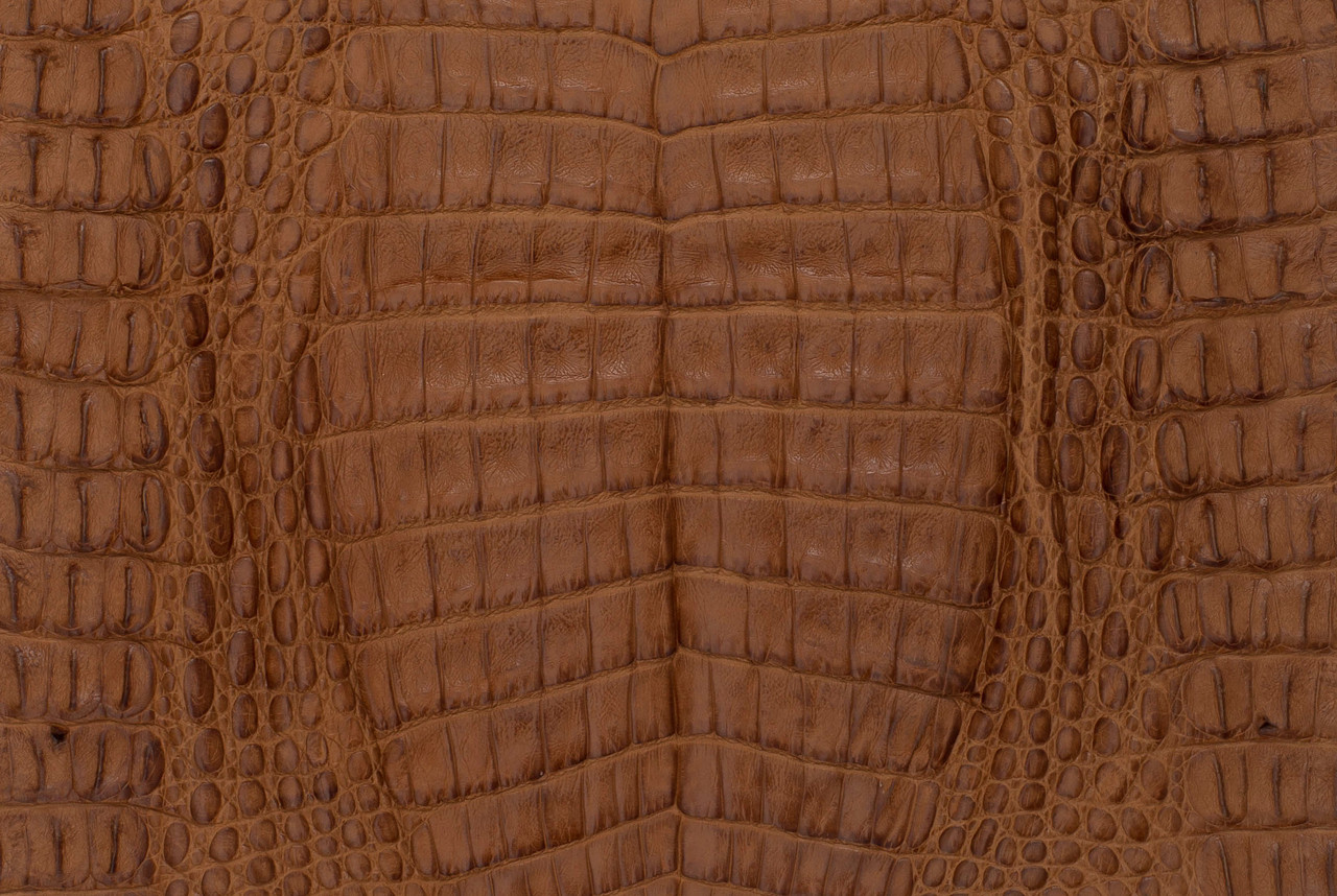 caiman belly skin