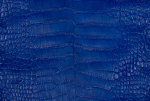 Alligator Skin Belly Matte Cobalt 30/34 cm