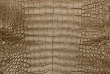 Alligator Skin Belly Matte Mink 30/34 cm