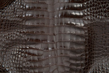 Alligator Skin Belly Glazed Brown 25/29 cm