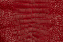 Alligator Skin Belly Matte Red 35/39 cm