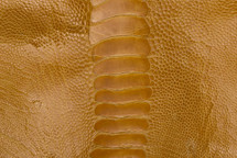 Ostrich Leg Glazed Buttercup
