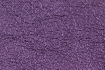 Lamb Skin Metallic Purple