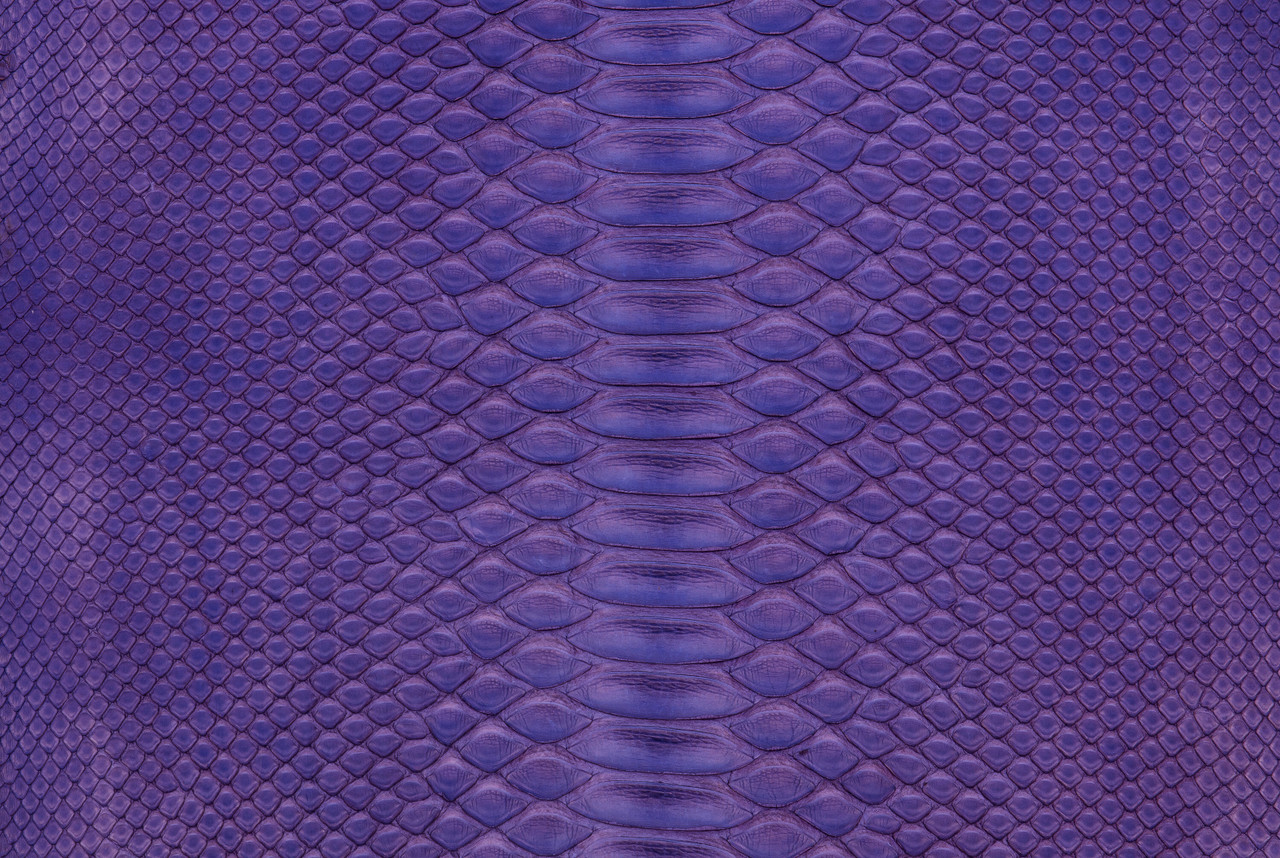  Genuine Snakeskin Royal Purple Tote Bags for Women