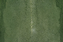 Stingray Skin Long Shape Polished Green Saphin 4"