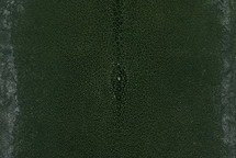 Stingray Skin Long Shape Shagreen Dark Green 4"
