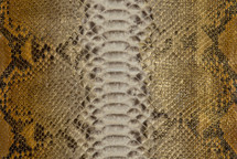 Python Skin Long BC Natural Cognac Gold
