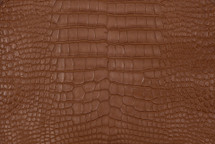 Alligator Skin Belly Matte Gold Brown 21/25 cm Grade 2