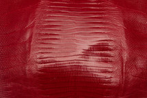 Lizard Skin Teju Glazed Red 15/19 cm