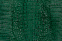 Caiman Hornback Matte Amazon Green