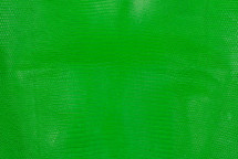 Lizard Skin Java Neon Green