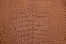 Alligator Skin Belly Matte Cognac 40/44 cm