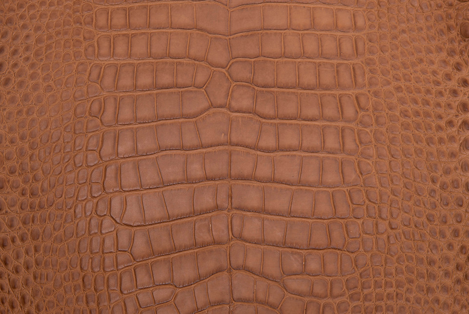 15 x 11 HUGE SCALED Cognac Brown ALLIGATOR Belly Skin BIRKIN Bag