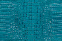 Caiman Hornback Matte Turquoise