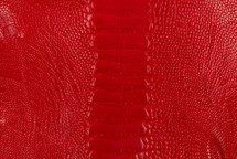 Ostrich Leg Millenium Bright Red