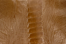 Ostrich Leg Glazed Camel
