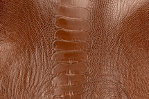 Ostrich Leg Glazed Copper Pot