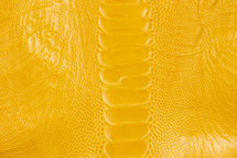 Ostrich Leg Glazed Yellow