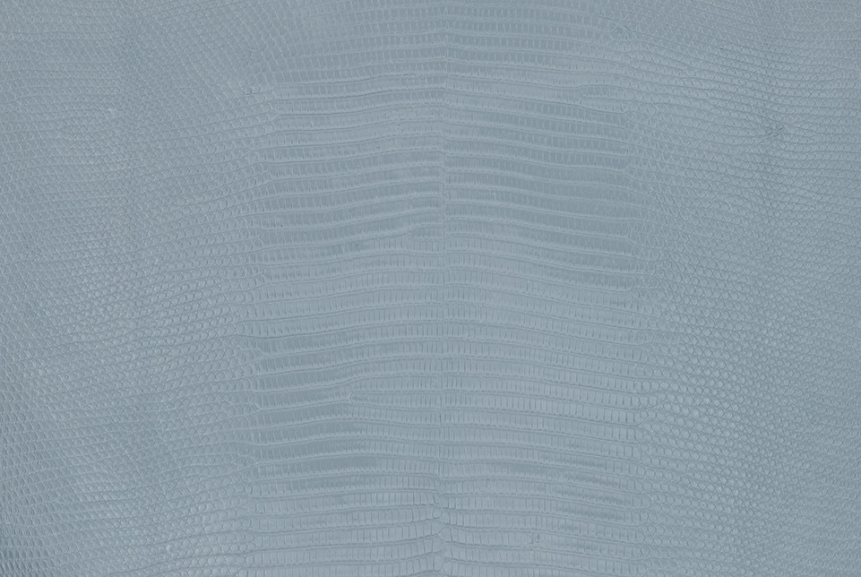 Blue Lizard Skin Texture A Lizard S Skin Has A Blue, Yellow, And White