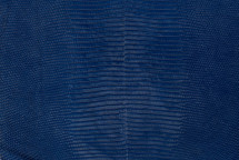 Lizard Skin Java Lux Royal Blue 25/29 cm